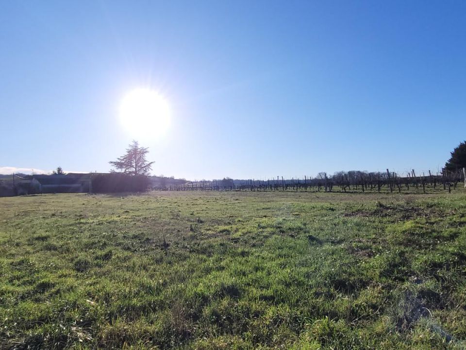 Tomt i Saint-Ciers-Du-Taillon, Charente-Maritime - foto 4