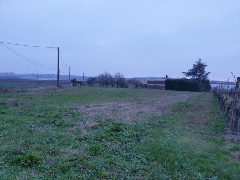 Tomt i Saint-Ciers-Du-Taillon, Charente-Maritime - foto 5