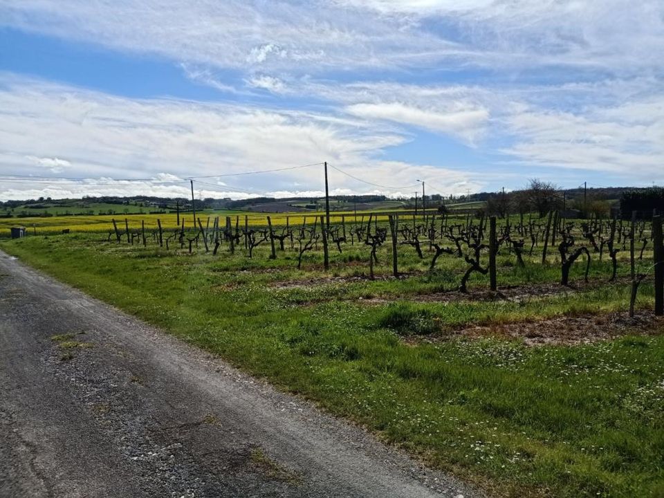Tomt i Saint-Ciers-Du-Taillon, Charente-Maritime - foto 2