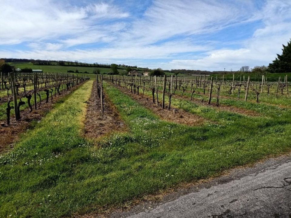 Tomt i Saint-Ciers-Du-Taillon, Charente-Maritime - foto 3