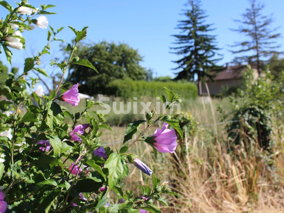 Helårsgrund i Saint-Aubin, Jura - foto 1