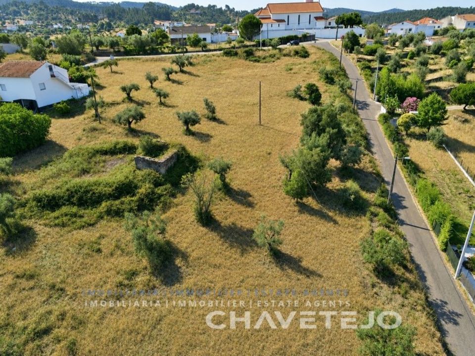 Terra em Abrantes, Santarem - foto 2
