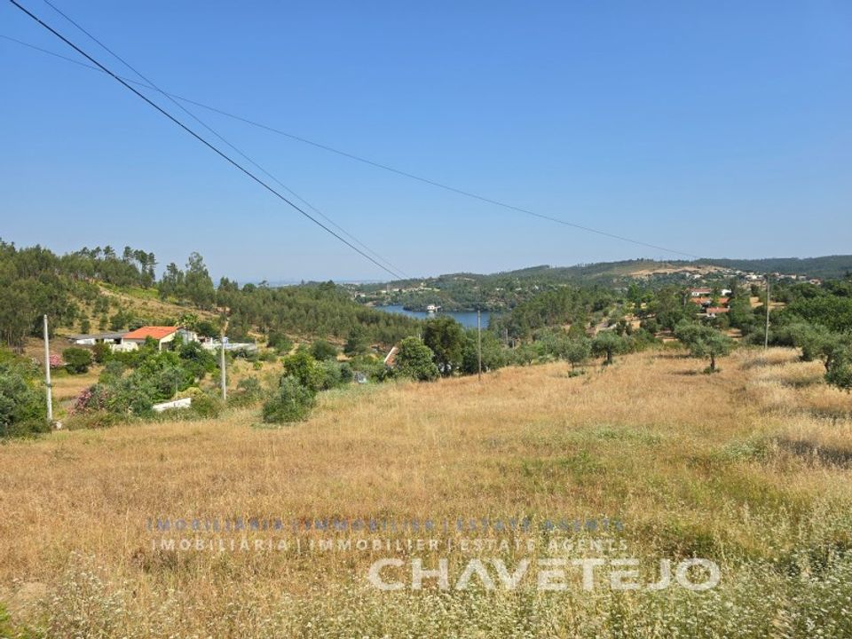 Terra em Abrantes, Santarem - foto 4