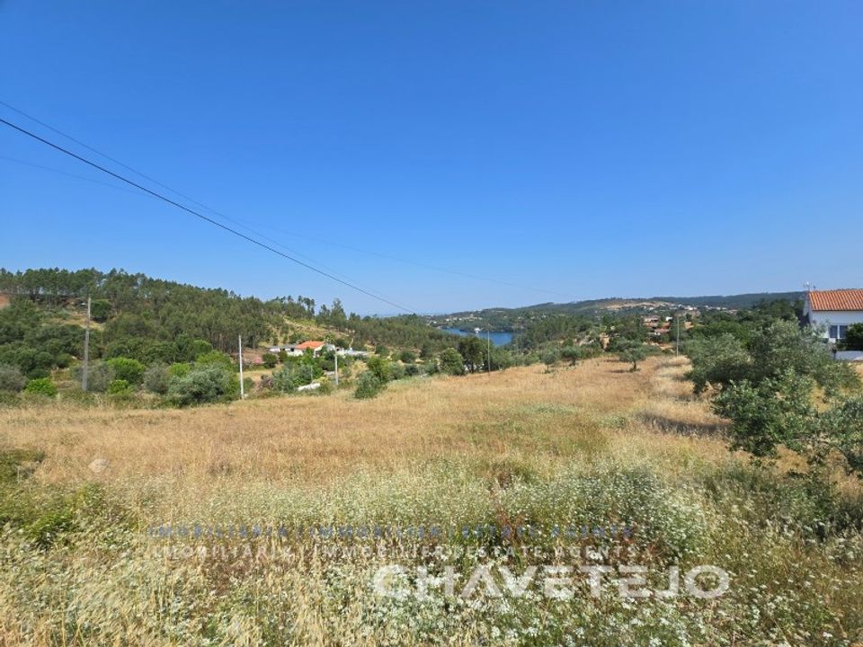 Terra em Abrantes, Santarem - foto 5
