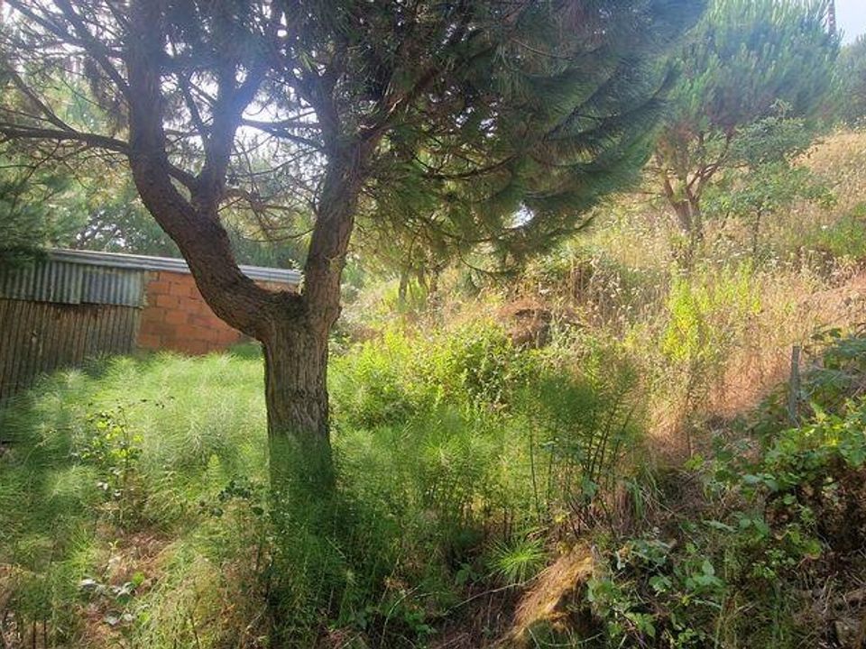 Grundstück in Mafra, Lisbon - Foto 1