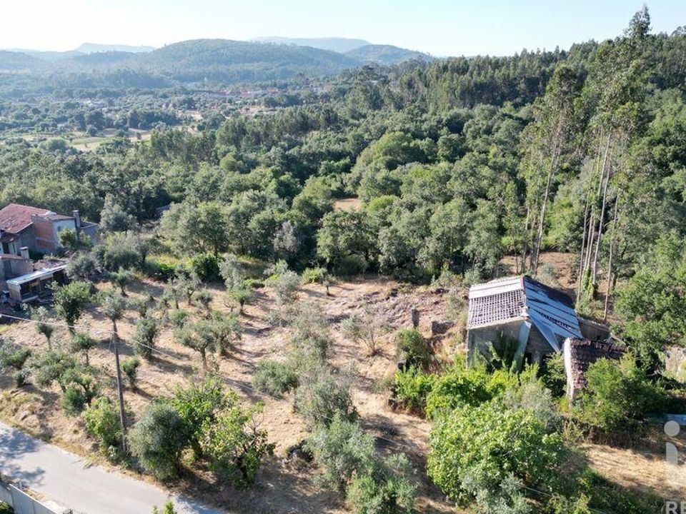 Casa de cidade em Penela, Coimbra - foto 3