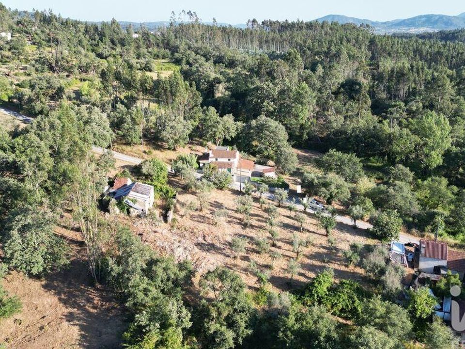 Casa de cidade em Penela, Coimbra - foto 5