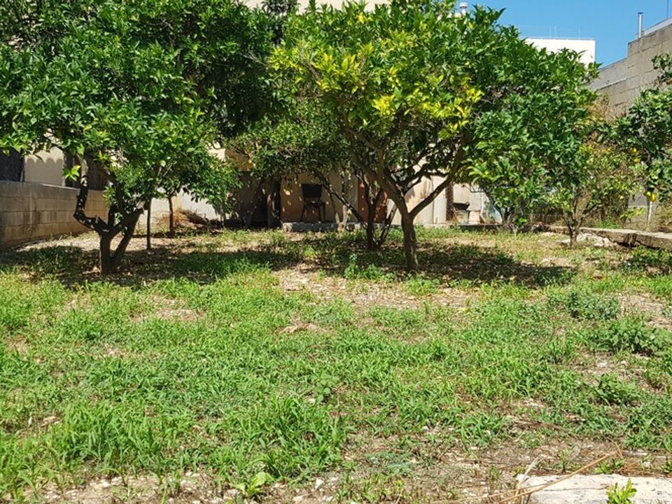 Helårsgrund i Arta, Mallorca - foto 4