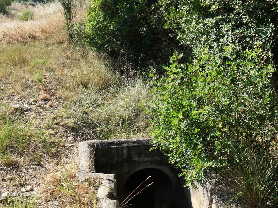 Finca in Caspe, Zaragoza - foto 3