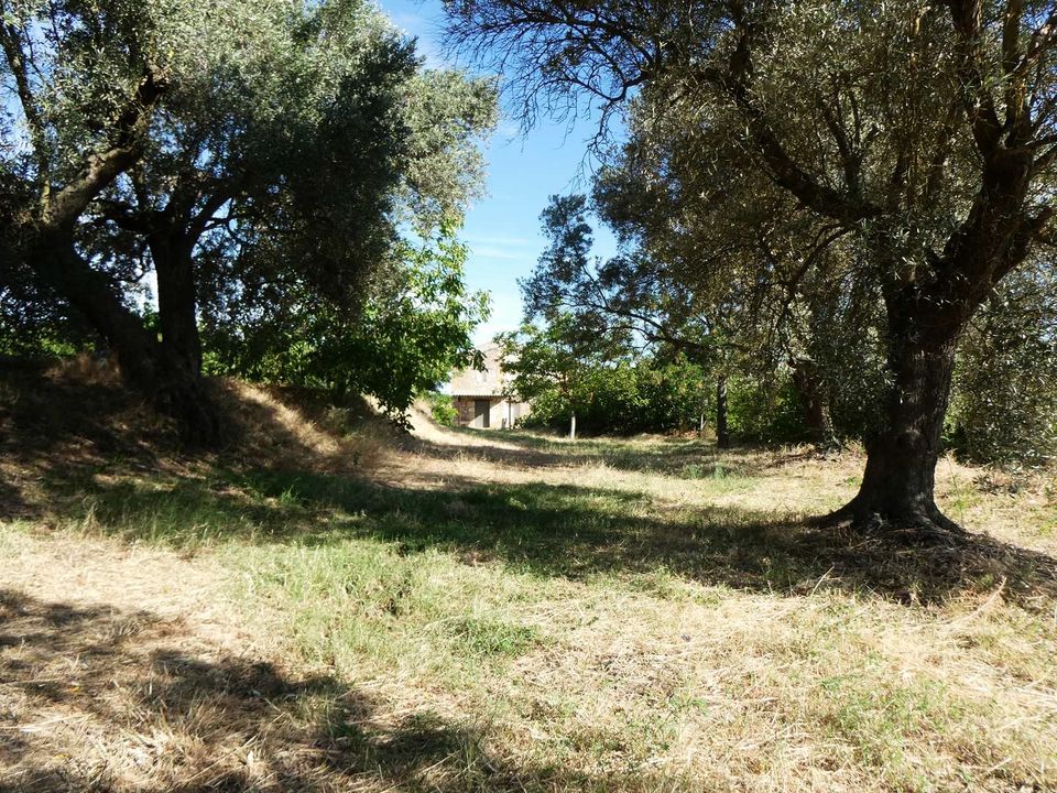 Finca in Caspe, Zaragoza - foto 5