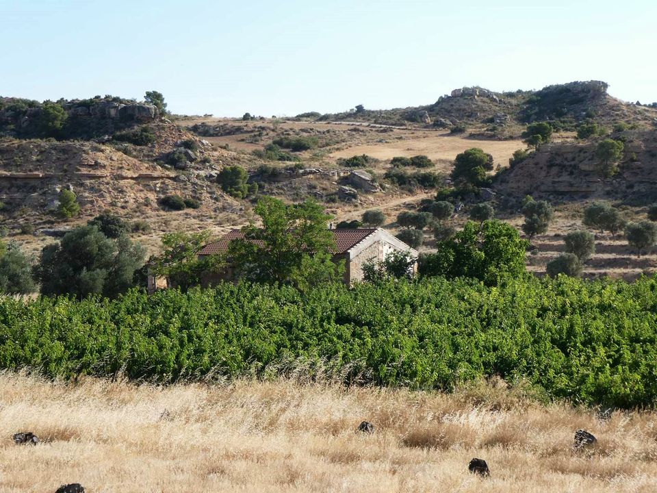 Finca in Caspe, Zaragoza - foto 4