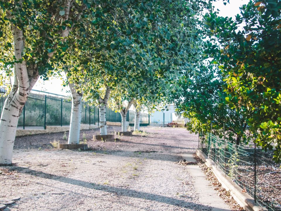 Farm hus i Elvas, Portalegre - foto 2