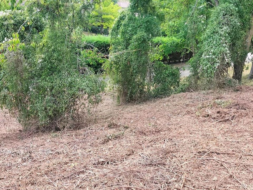 Terra a Puycasquier, Gers - foto 4