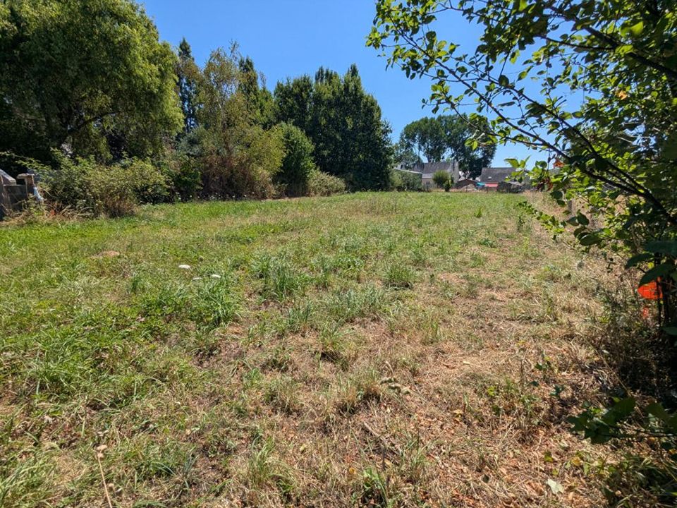 Terra a Sainte-Anne-sur-Brivet, Loire-Atlantique - foto 2