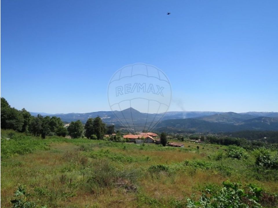 Farm i Celorico de Basto, Braga - foto 2