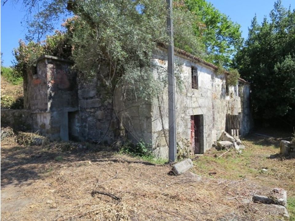 Farm i Celorico de Basto, Braga - foto 4