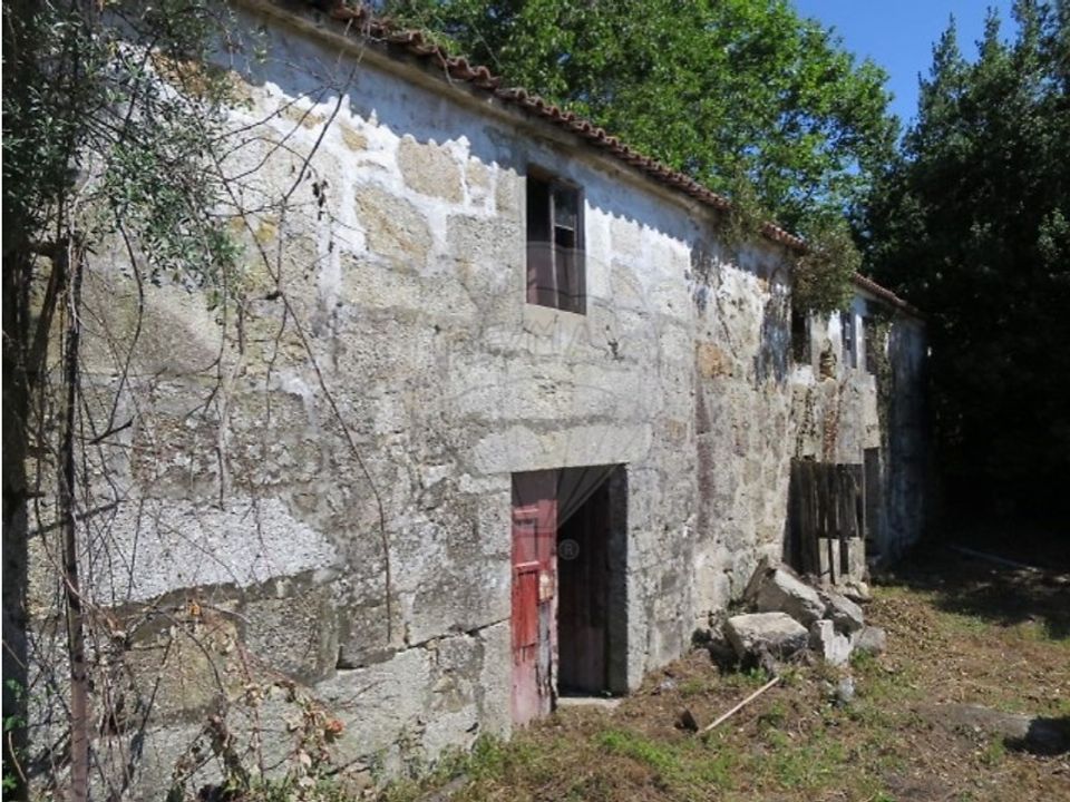 Farm i Celorico de Basto, Braga - foto 5