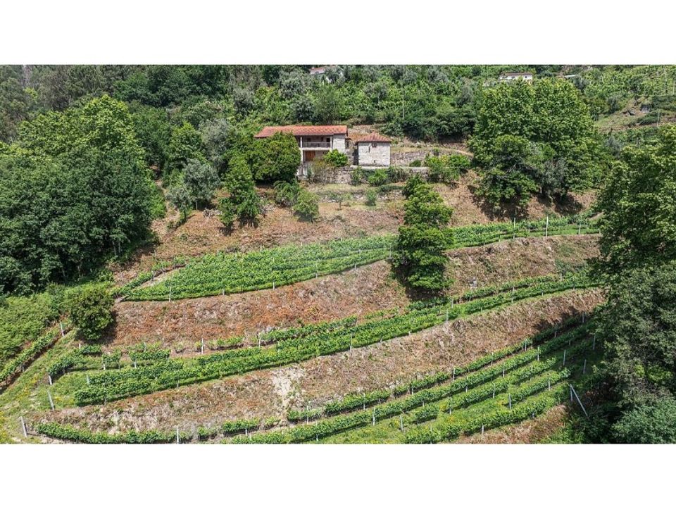 Villa i Celorico de Basto, Braga - foto 3