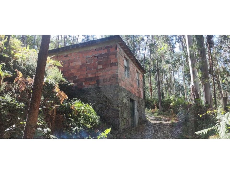Terra em Chorense e Monte, Braga - foto 1