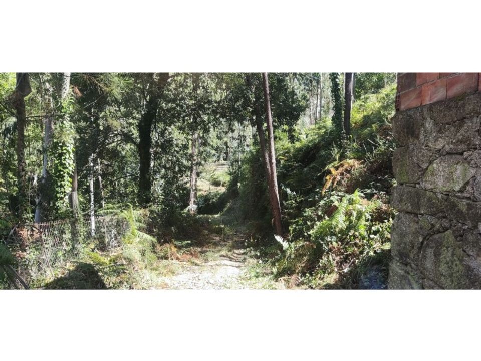 Terra em Chorense e Monte, Braga - foto 4