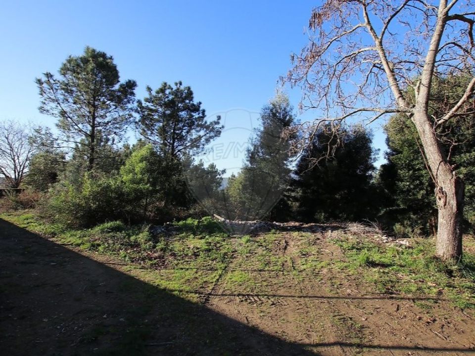 Helårsgrund i Montaria, Viana do Castelo - foto 3
