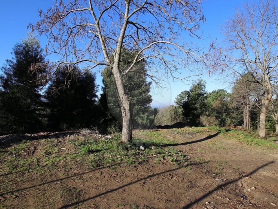 Helårsgrund i Montaria, Viana do Castelo - foto 4