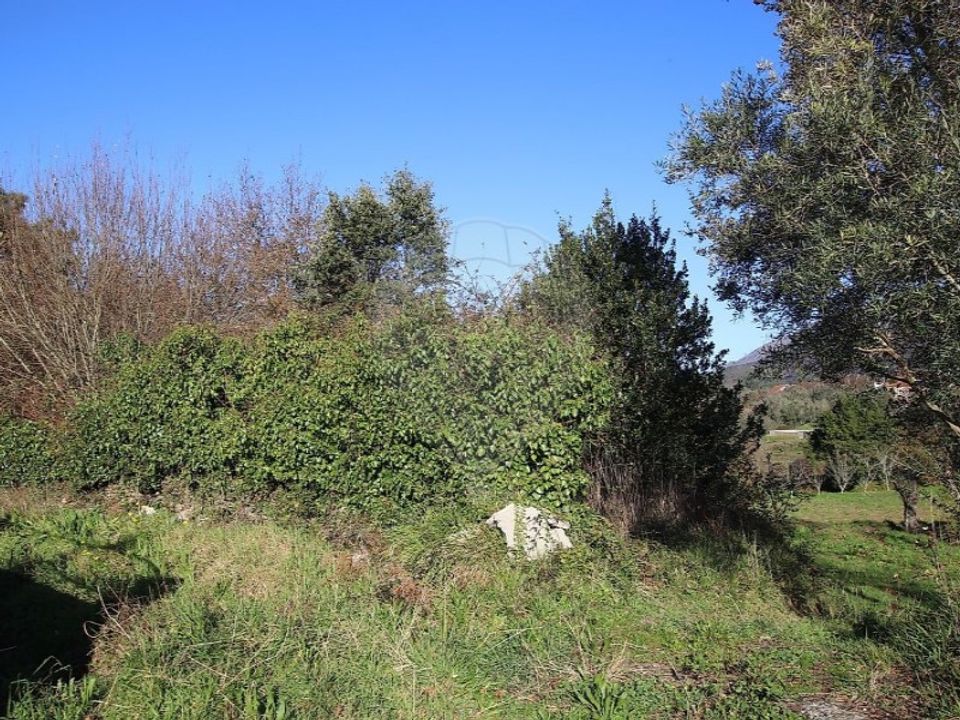 Helårsgrund i Montaria, Viana do Castelo - foto 5