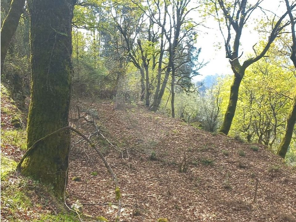 Helårsgrund i Arcos de Valdevez, Viana do Castelo - foto 3