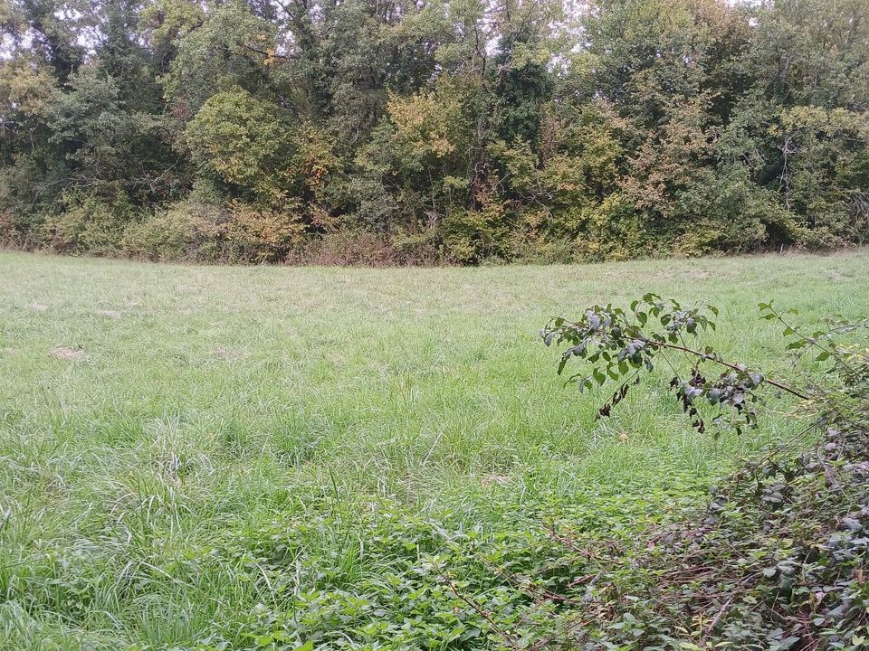 Helårsgrund i Riberac, Dordogne - foto 2