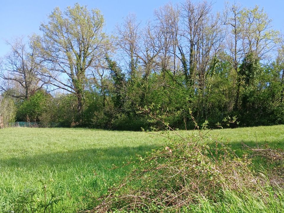 Helårsgrund i Riberac, Dordogne - foto 3