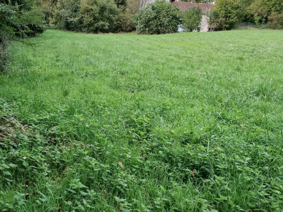 Helårsgrund i Riberac, Dordogne - foto 4