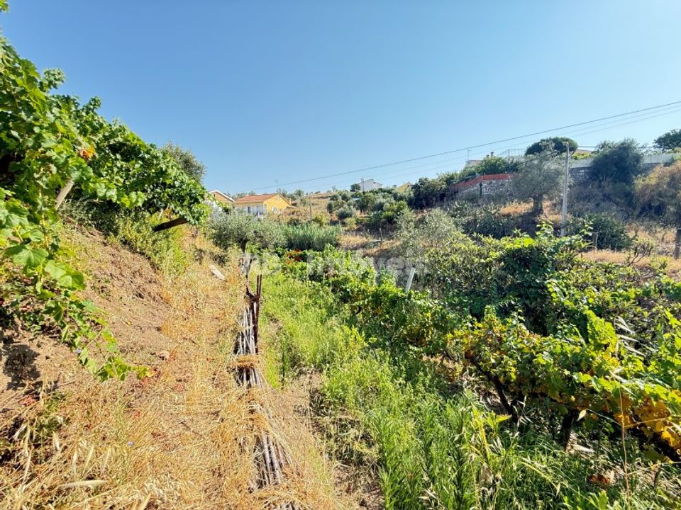Helårsgrund i Vila Nova da Barquinha, Santarem - foto 2
