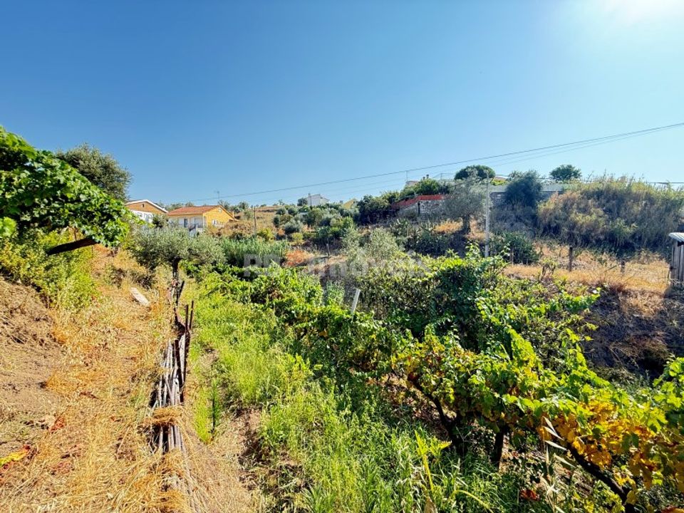 Helårsgrund i Vila Nova da Barquinha, Santarem - foto 5