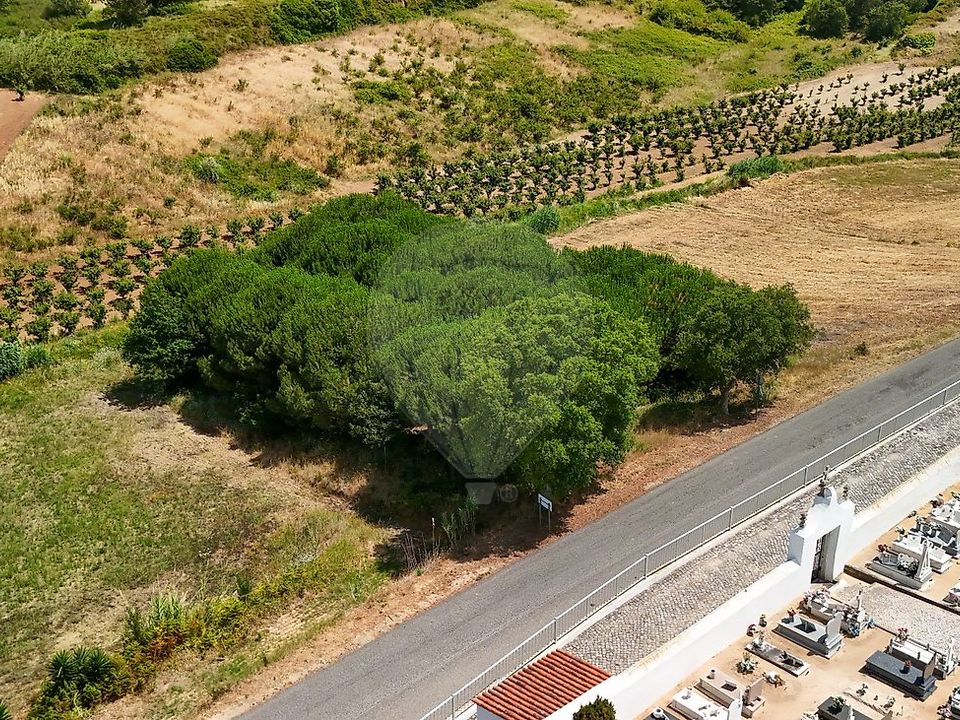 Lejlighed i Obidos, Leiria - foto 4