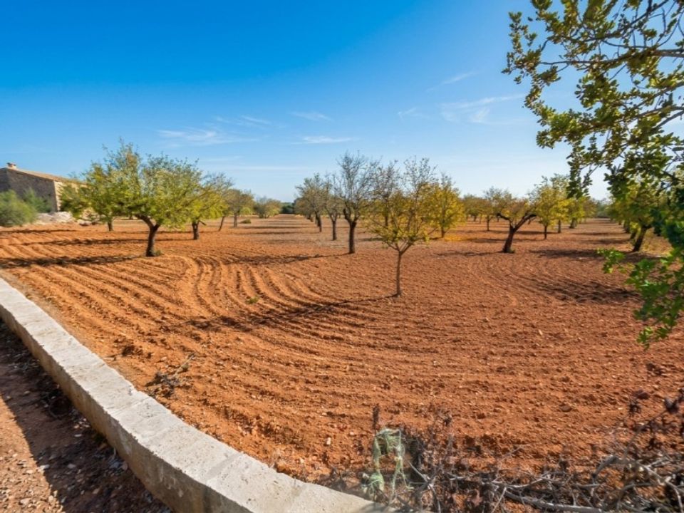Helårsgrund i Campos, Mallorca - foto 1
