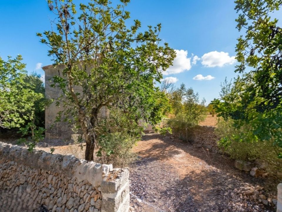 Helårsgrund i Campos, Mallorca - foto 3
