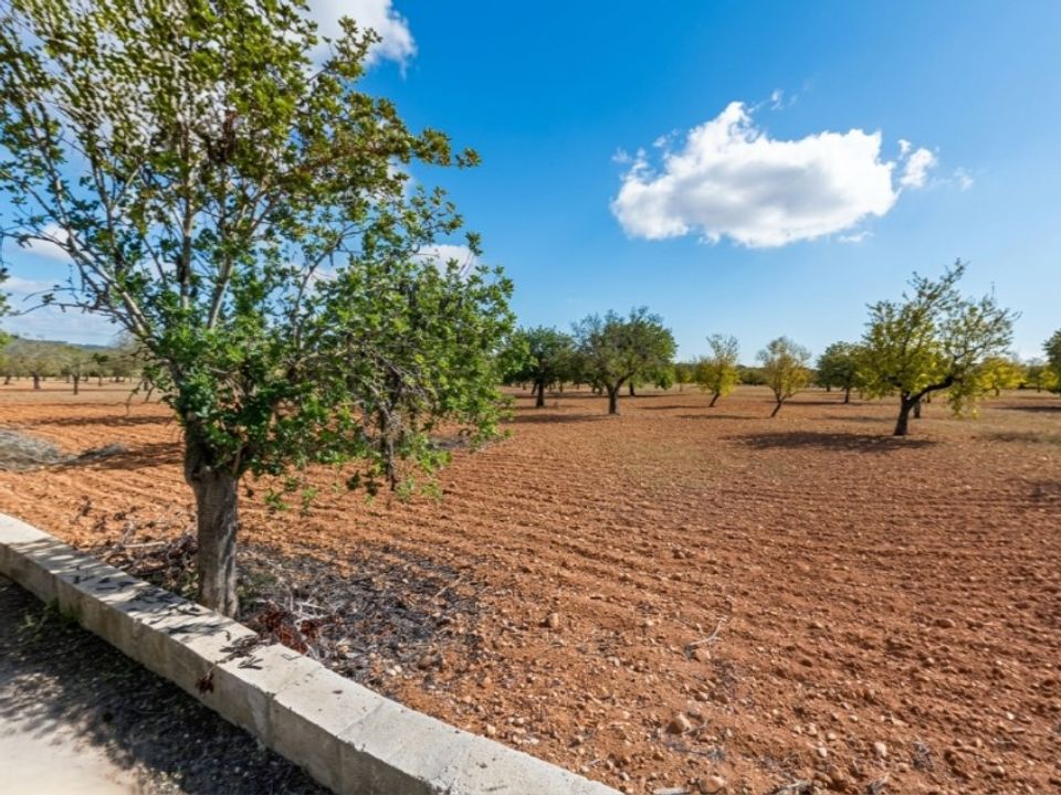 Helårsgrund i Campos, Mallorca - foto 4