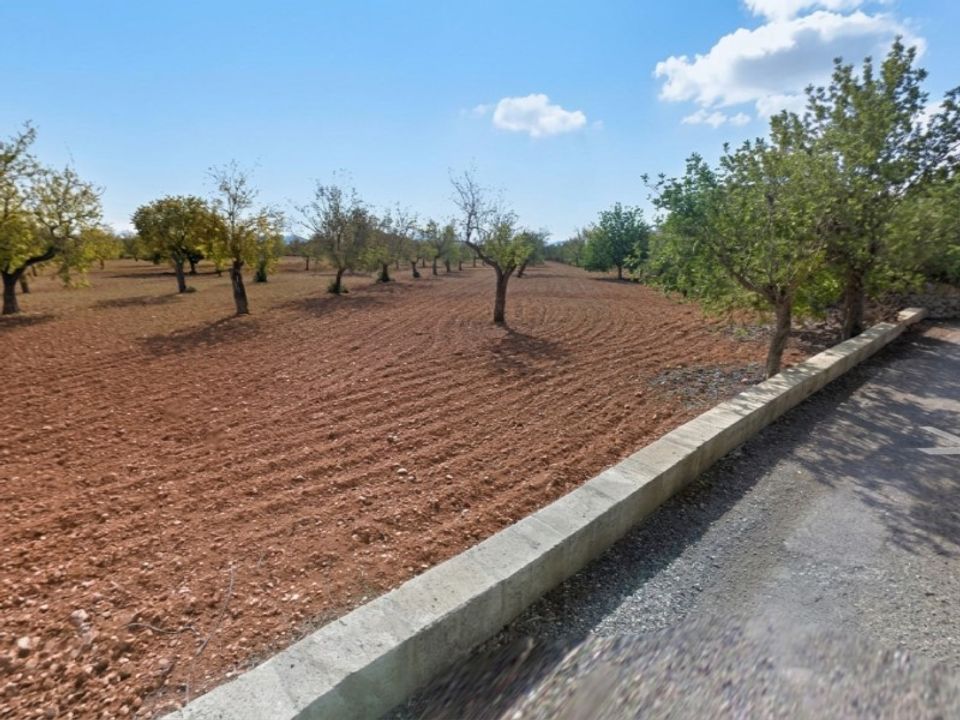Helårsgrund i Campos, Mallorca - foto 5