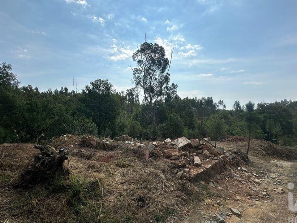 Terra em Pedrogao Grande, Leiria - foto 1