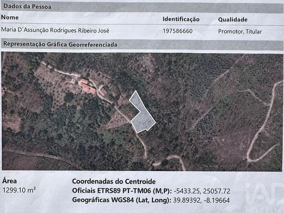 Terra em Pedrogao Grande, Leiria - foto 4