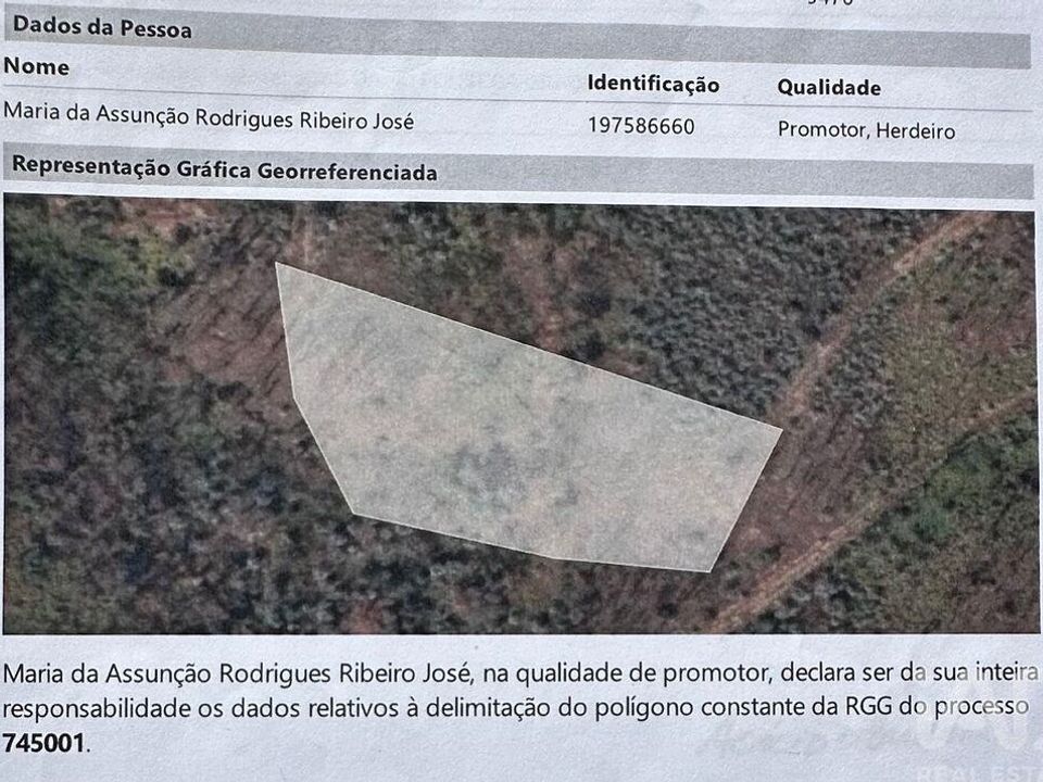 Terra em Pedrogao Grande, Leiria - foto 5