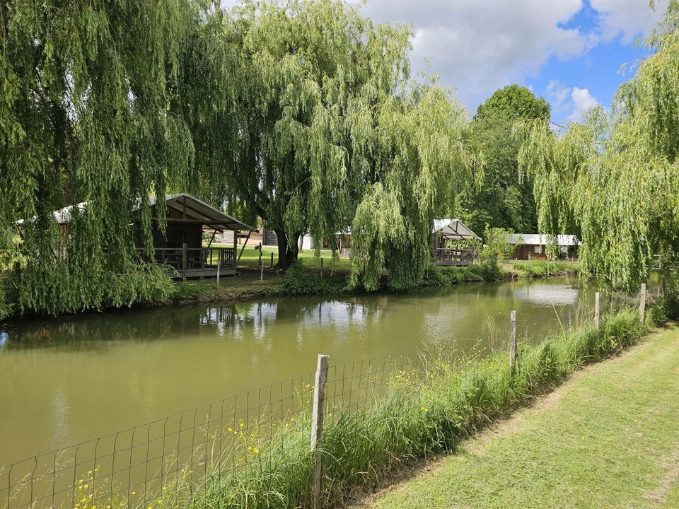 Erhvervsejendom i Villeneuve-sur-Lot, Lot-et-Garonne - foto 2