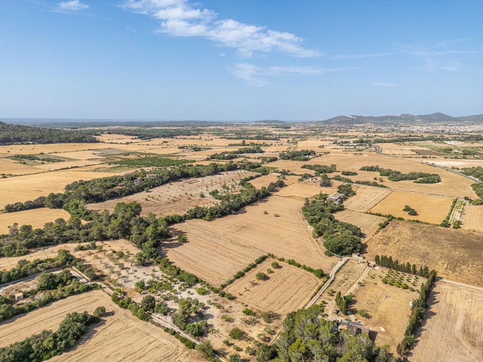 Helårsgrund i Porreres, Mallorca - foto 2