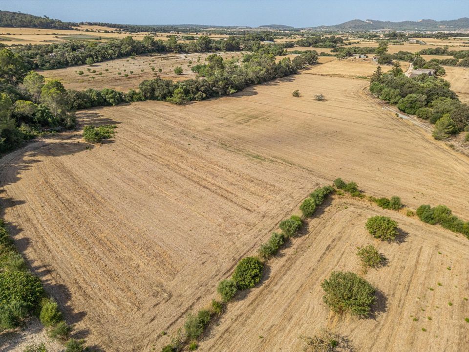 Helårsgrund i Porreres, Mallorca - foto 3
