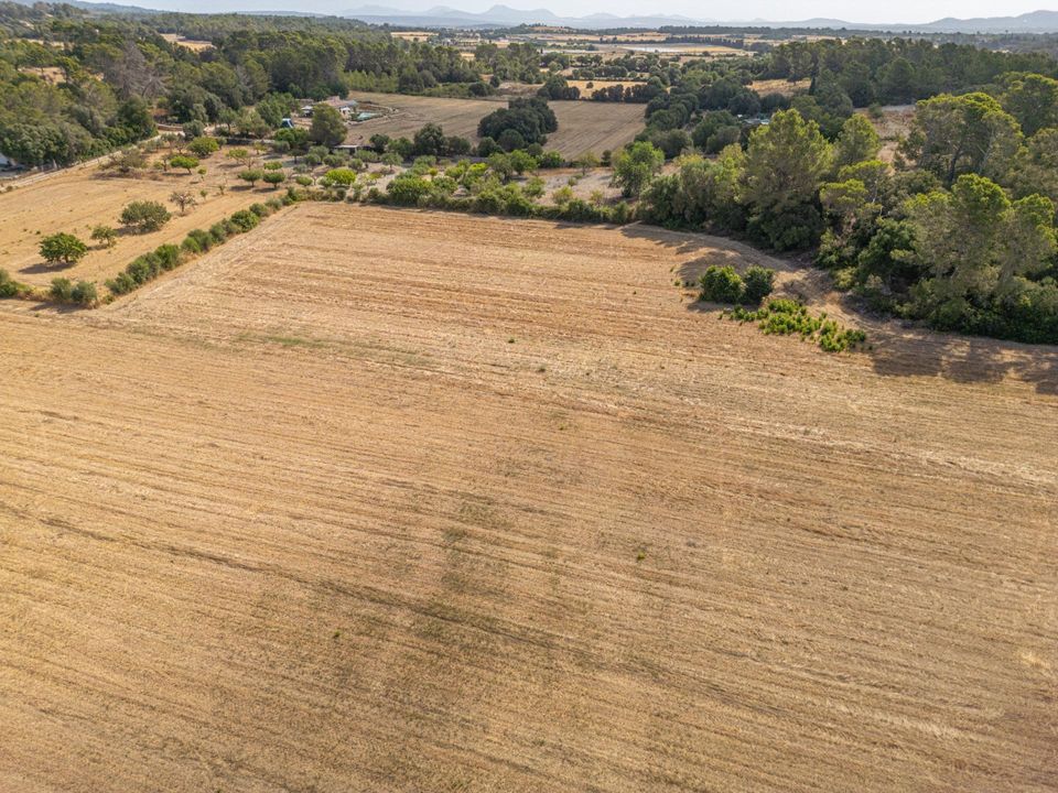 Helårsgrund i Porreres, Mallorca - foto 4