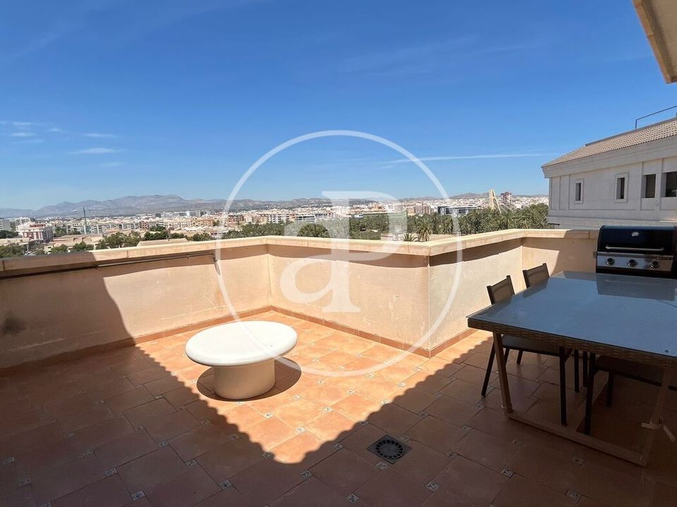 Apartment in Elche, Alicante - photo 2