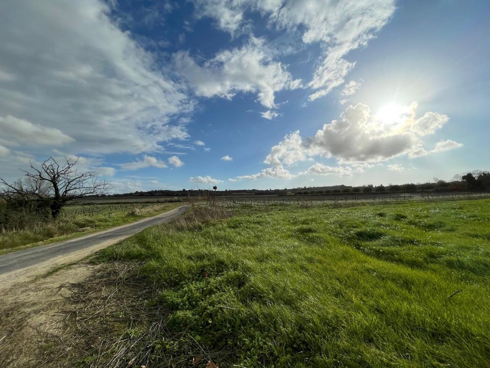 Grond in Pouzolles, Herault - foto 3