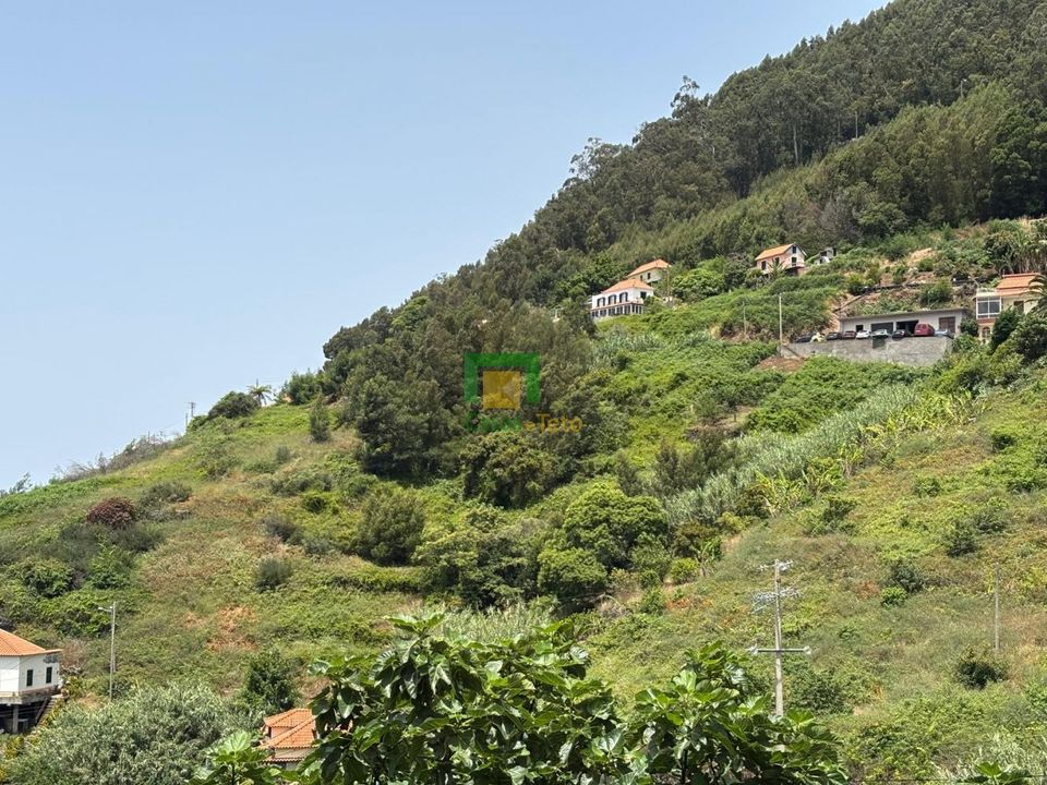 Terra a Ribeira Brava, Madeira - foto 2