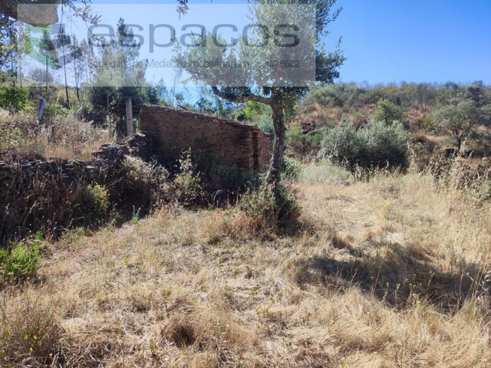 Helårsgrund i Vila Velha de Rodao, Castelo Branco - foto 1