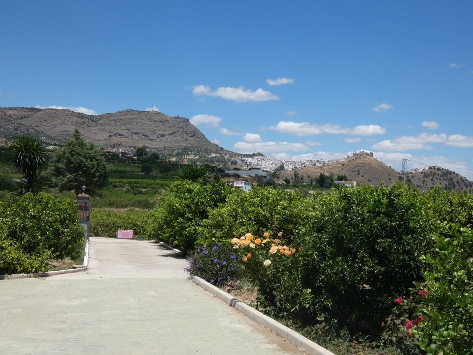 Landejendom i Alora, Malaga - foto 5